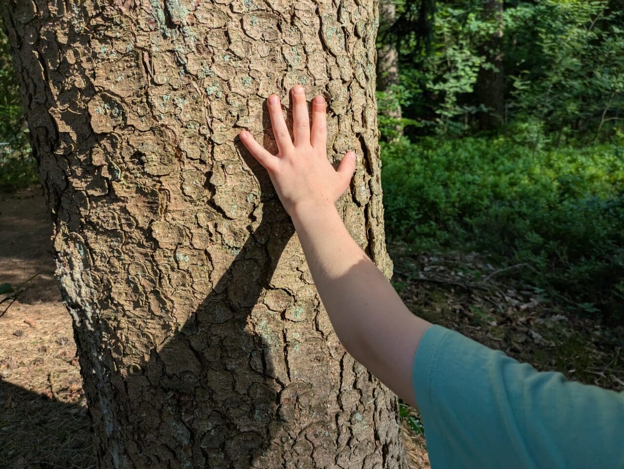 spiele im wald mit kindern